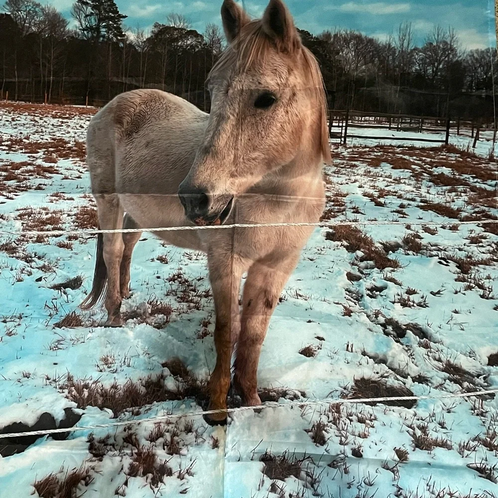 Horse Shower Curtain